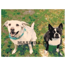 Maalid numbrite järgi ets536-30401