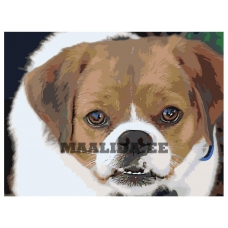 Maalid numbrite järgi ets544-3-3040