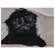 Maalid numbrite järgi ets544-3040