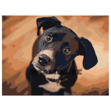 Maalid numbrite järgi ets544-4-30401