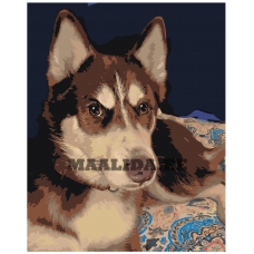 Maalid numbrite järgi ets548-40501