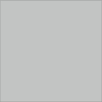 Acrylic paint U1, 300 ml