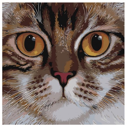 Maalid numbrite järgi A109 Maalid numbrite järgi A109