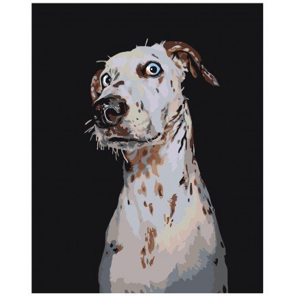 Maalid numbrite järgi A151