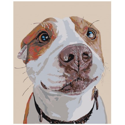 Maalid numbrite järgi A153