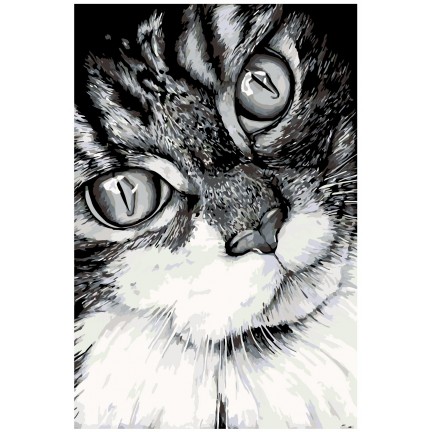 Maalid numbrite järgi A208 Maalid numbrite järgi A208