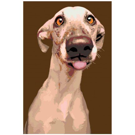 Maalid numbrite järgi A220 Maalid numbrite järgi A220