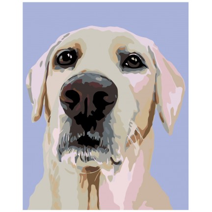 Maalid numbrite järgi A259