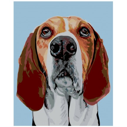 Maalid numbrite järgi A260 Maalid numbrite järgi A260