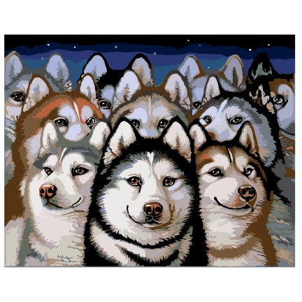 Maalid numbrite järgi A306