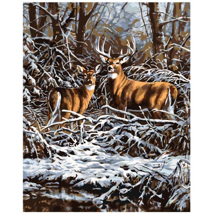 Maalid numbrite järgi A357