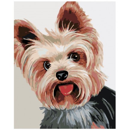 Maalid numbrite järgi A371