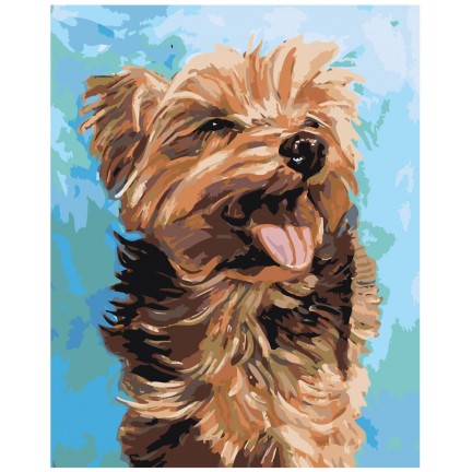 Maalid numbrite järgi A472