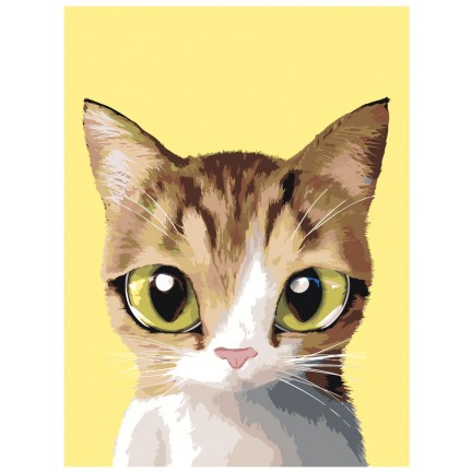 Maalid numbrite järgi A554