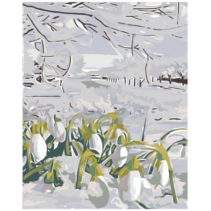 Maalid numbrite järgi "Snowdrops" A5II-AF264