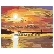 Maalid numbrite järgi A5II-PK48019