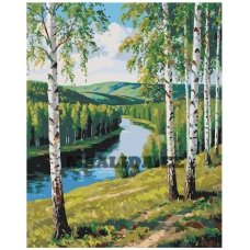 Maalid numbrite järgi A5II-TN114