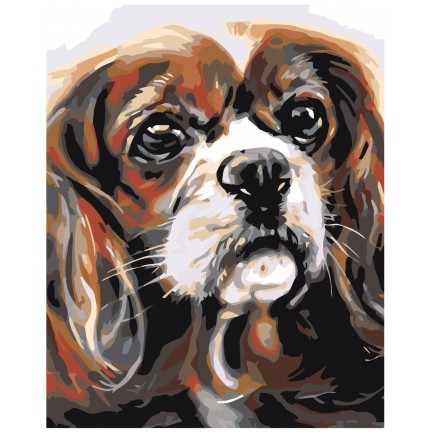 Maalid numbrite järgi A66