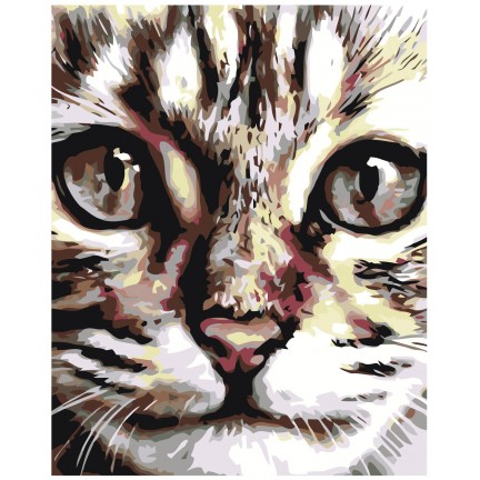 Maalid numbrite järgi A67 Maalid numbrite järgi A67