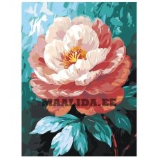 Maalid numbrite järgi AAAA-ST0308