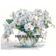 Gleznas pēc numuriem AAAA-ST0424