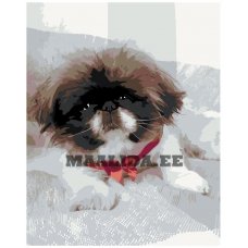Maalid numbrite järgi ARTH-AH2721