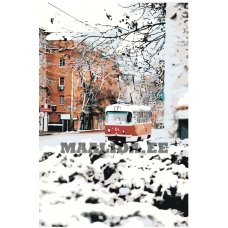 Maalid numbrite järgi E.@Y-tram95411