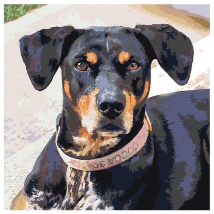 Maalid numbrite järgi ETS139 Maalid numbrite järgi ETS139