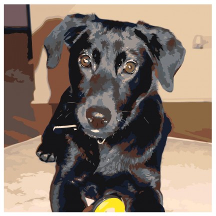 Maalid numbrite järgi ETS213-4040 Maalid numbrite järgi ETS213-4040