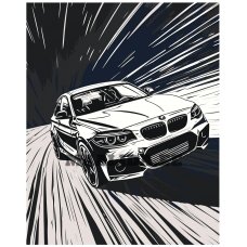 Maalid numbrite järgi EVEE-BMW-0003