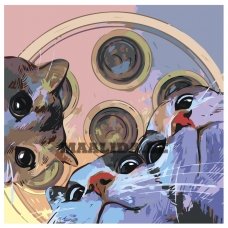 Gleznas pēc numuriem EVEE-art-0358