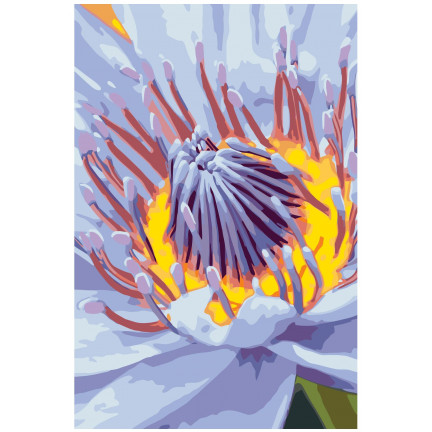 Maalid numbrite järgi F49 Maalid numbrite järgi F49