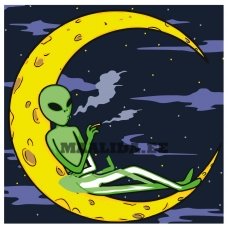 Maalid numbrite järgi FU64