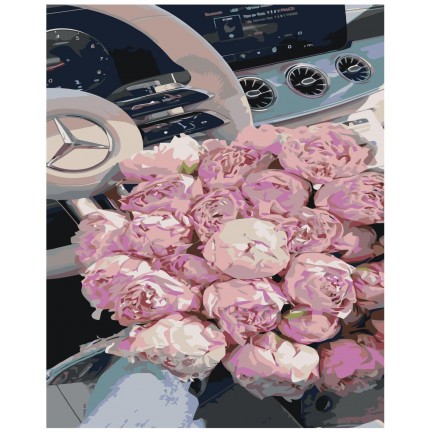 Maalid numbrite järgi IIIR-STP367