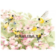 Maalid numbrite järgi KTMK-00695