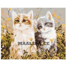 Maalid numbrite järgi KTMK-393604
