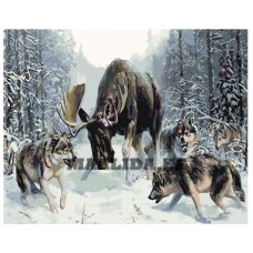 Maalid numbrite järgi KTMK-62638