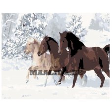 Maalid numbrite järgi KTMK-662231