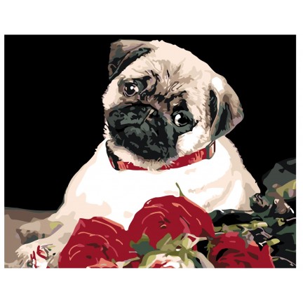 Maalid numbrite järgi KTMK-78528 Maalid numbrite järgi KTMK-78528