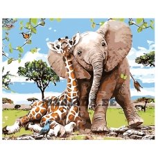 Animals