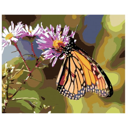 Maalid numbrite järgi KTMK-butterfly01