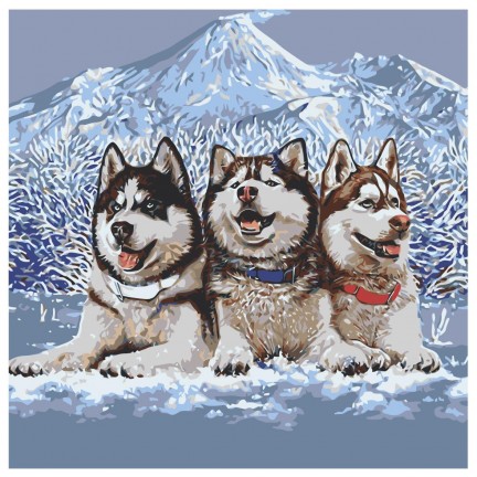 Maalid numbrite järgi NA-semikinikafeb5 Maalid numbrite järgi NA-semikinikafeb5