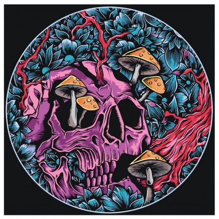 Maalid numbrite järgi NA-skullzz1 Maalid numbrite järgi NA-skullzz1