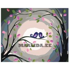 Maalid numbrite järgi RA213