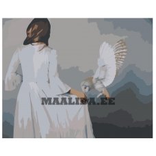 Maalid numbrite järgi RO268