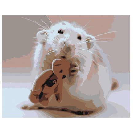 Maalid numbrite järgi Z-AB444 Maalid numbrite järgi Z-AB444