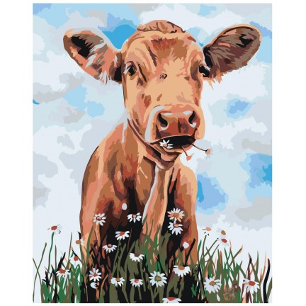 Maalid numbrite järgi Z-AB557