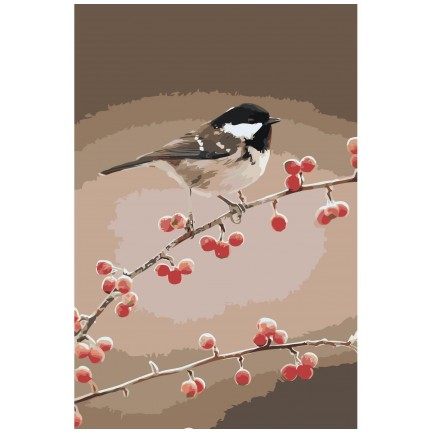 Maalid numbrite järgi Z-NA19