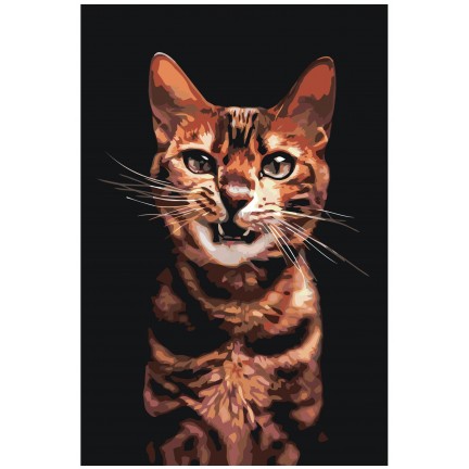 Maalid numbrite järgi Z-NA28