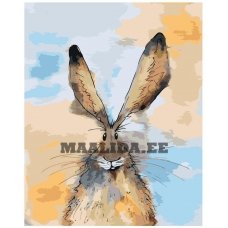 Maalid numbrite järgi Z-NA68